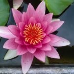 WP_20180918_014